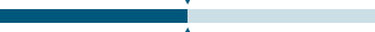 refinement progress bar