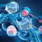 Molecules de fraction de peptides de collagene
