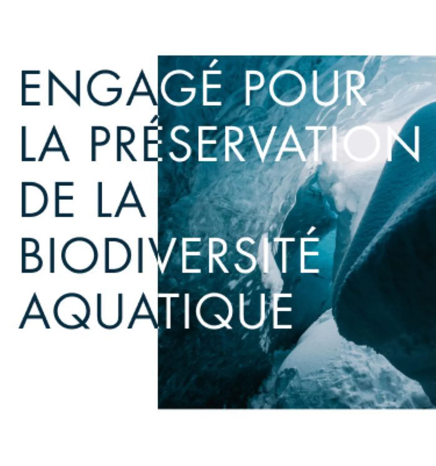 Preservation biodiversite